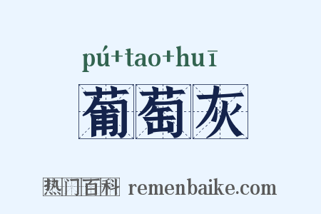 葡萄灰是什么意思的图片